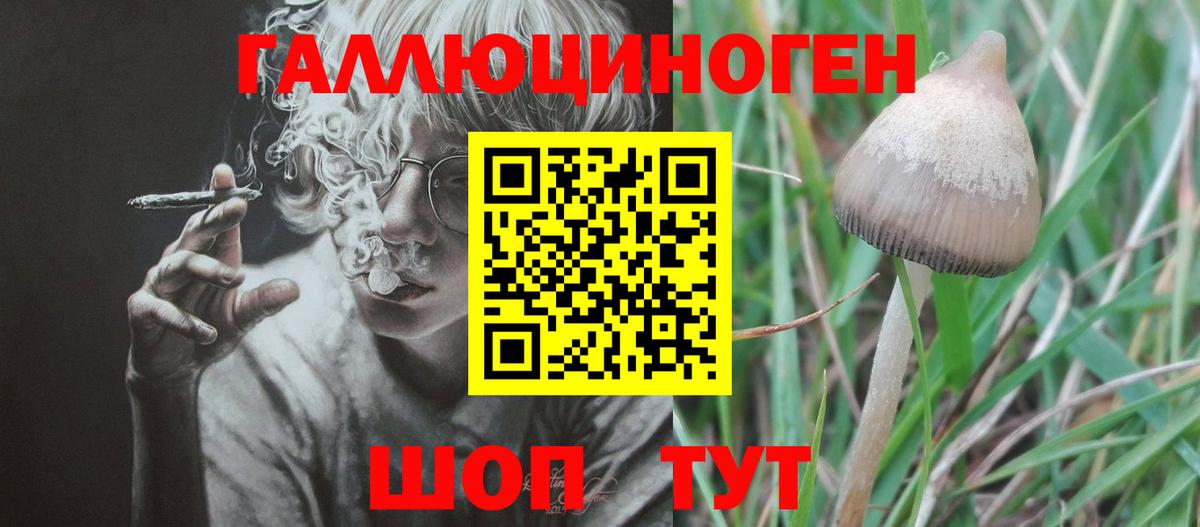 дарнет шоп  Галлюциногенные грибы мицелий  Вход с VPN  Ставрополь 
